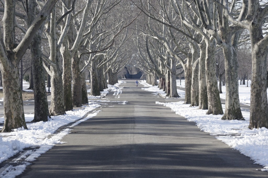 The snow-covered Flushing Meadows Park is a quiet place in the dead of winter, but transforms into a lively neighborhood hangout during the warm summer months.